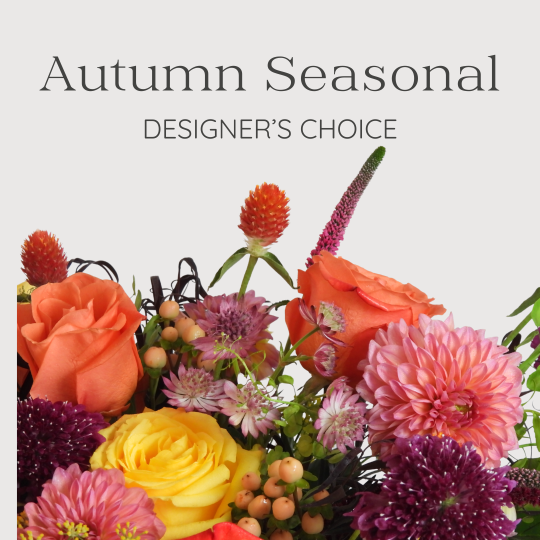 Designer's Choice - Autumn Seasonal